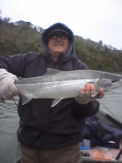 Steelhead