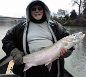 Winter Steelhead