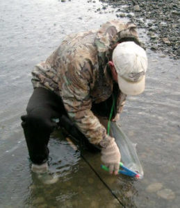 Steelhead Fishing