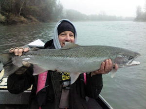 winter steelhead