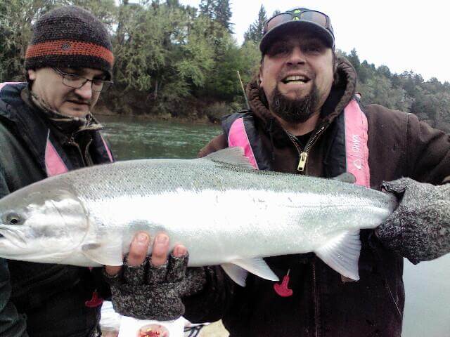 Winter Steelhead Jan 2019