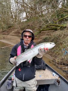 Winter Steelhead