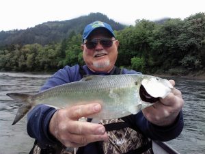 Spring Shad Fishing