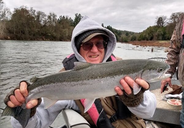 Winter Steelhead Jan 2020